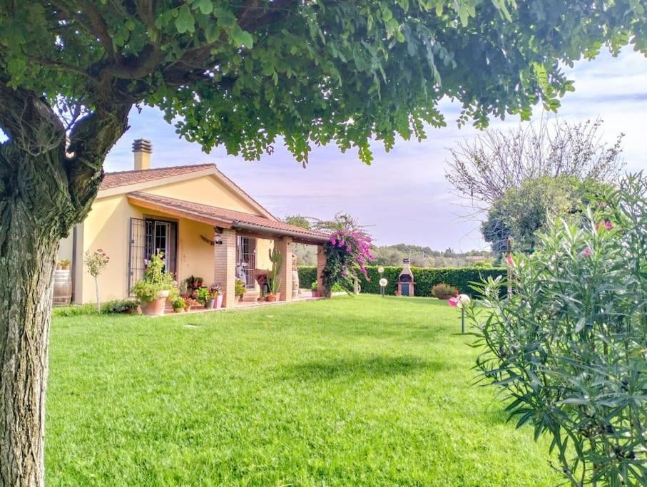 Villetta Rio, Large Private Garden チェチナ エクステリア 写真